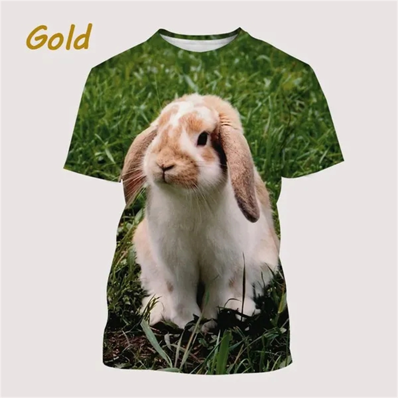 الرجال والنساء ثلاثية الأبعاد  - مراجعة 3D Printing Rabbit وسعره