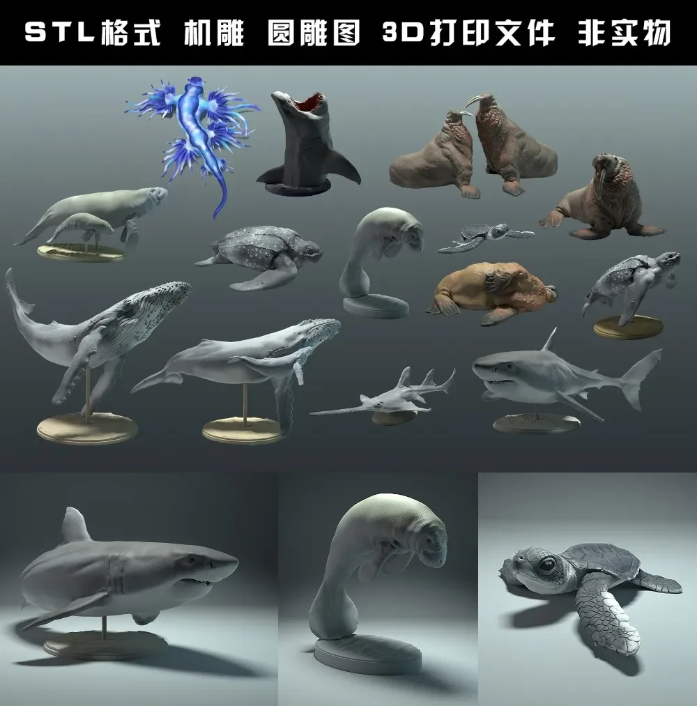 الحيوانات ، الدب القطبي ، تاكي - مراجعة 3D Printing Rabbit وسعره