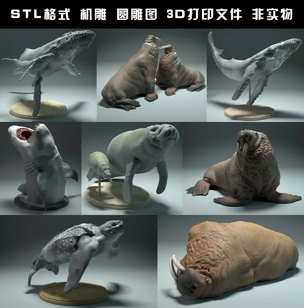 الحيوانات ، الدب القطبي ، تاكي - مراجعة 3D Printing Rabbit وسعره