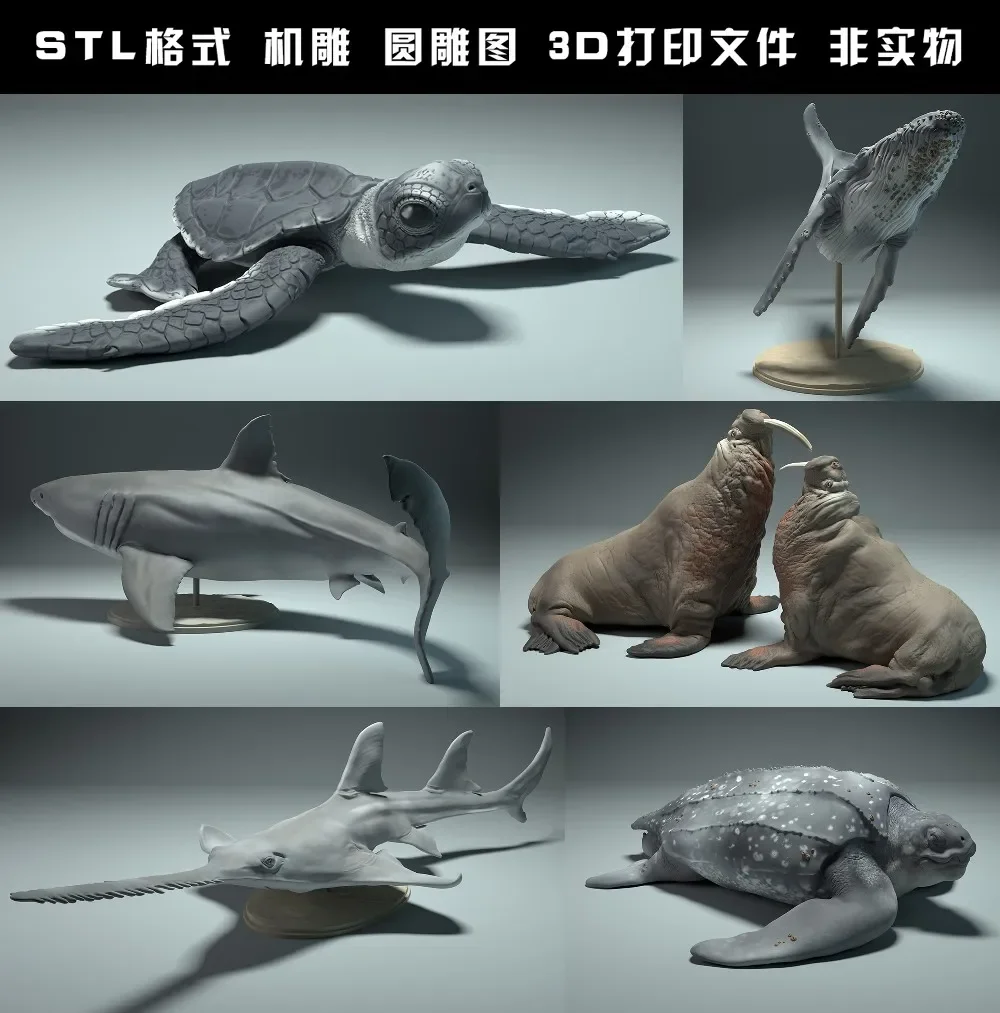 الحيوانات ، الدب القطبي ، تاكي - مراجعة 3D Printing Rabbit وسعره
